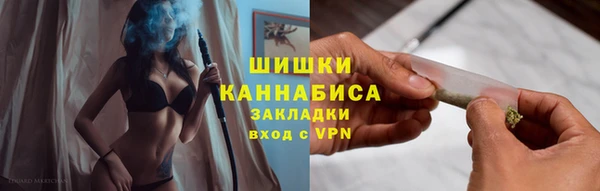 мдпв Касимов
