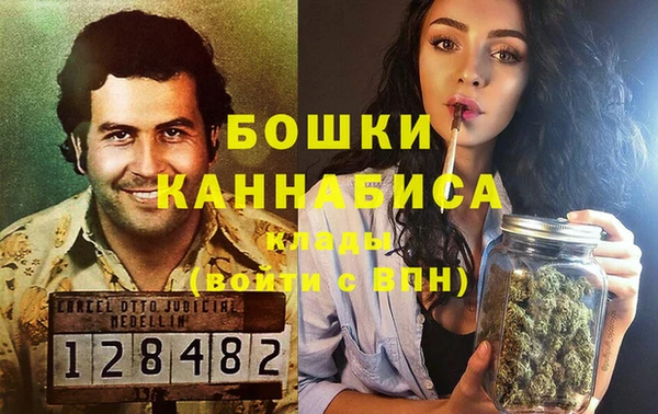 мдпв Касимов