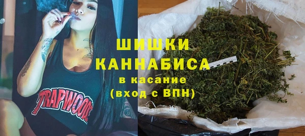 ПСИЛОЦИБИНОВЫЕ ГРИБЫ Карталы