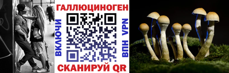 Купить закладки  Оленегорск  Галлюциногенные грибы Cubensis 