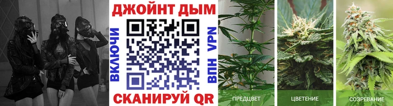 Канабис VHQ  Купить закладки  Оленегорск 